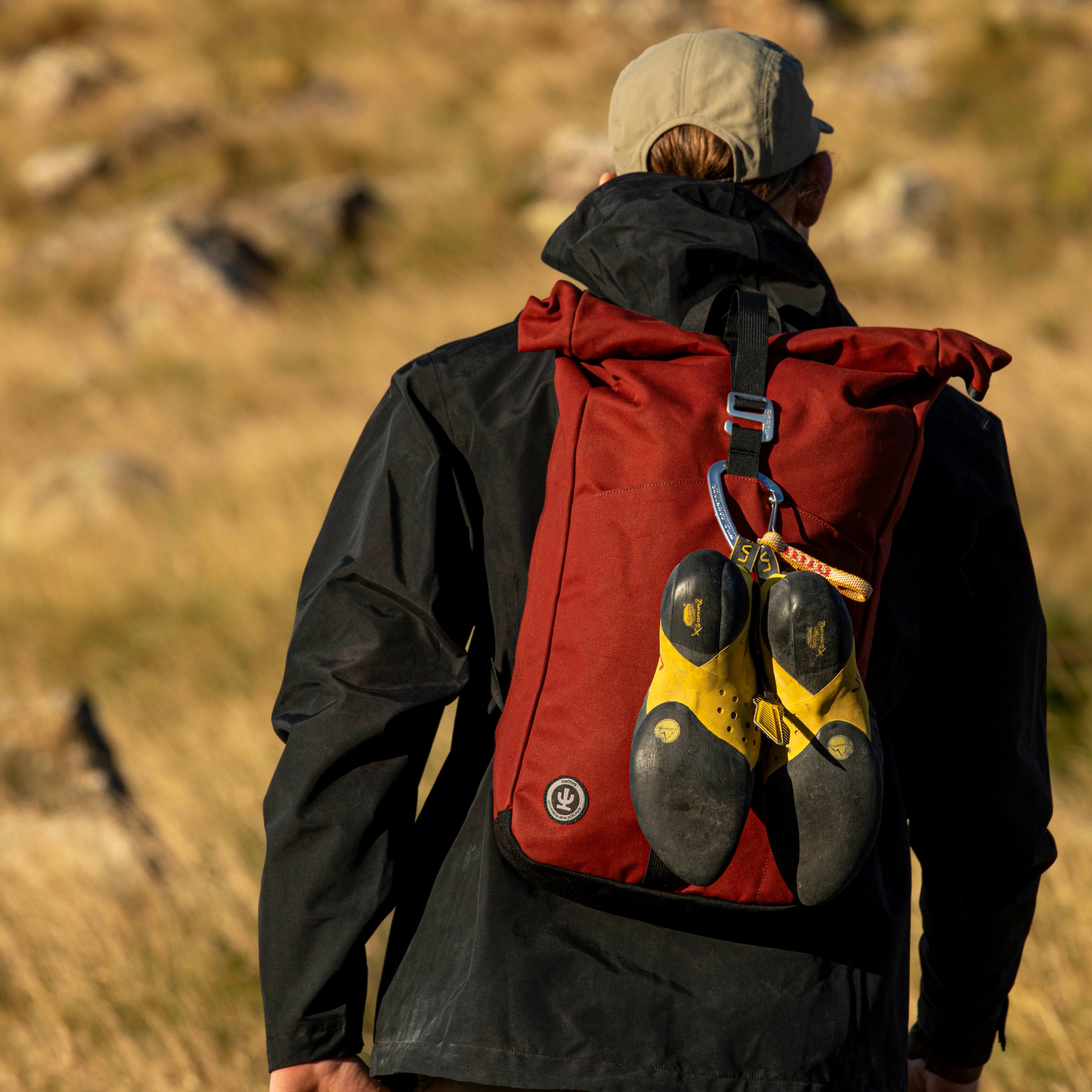 Ruckus Rolltop Backpack