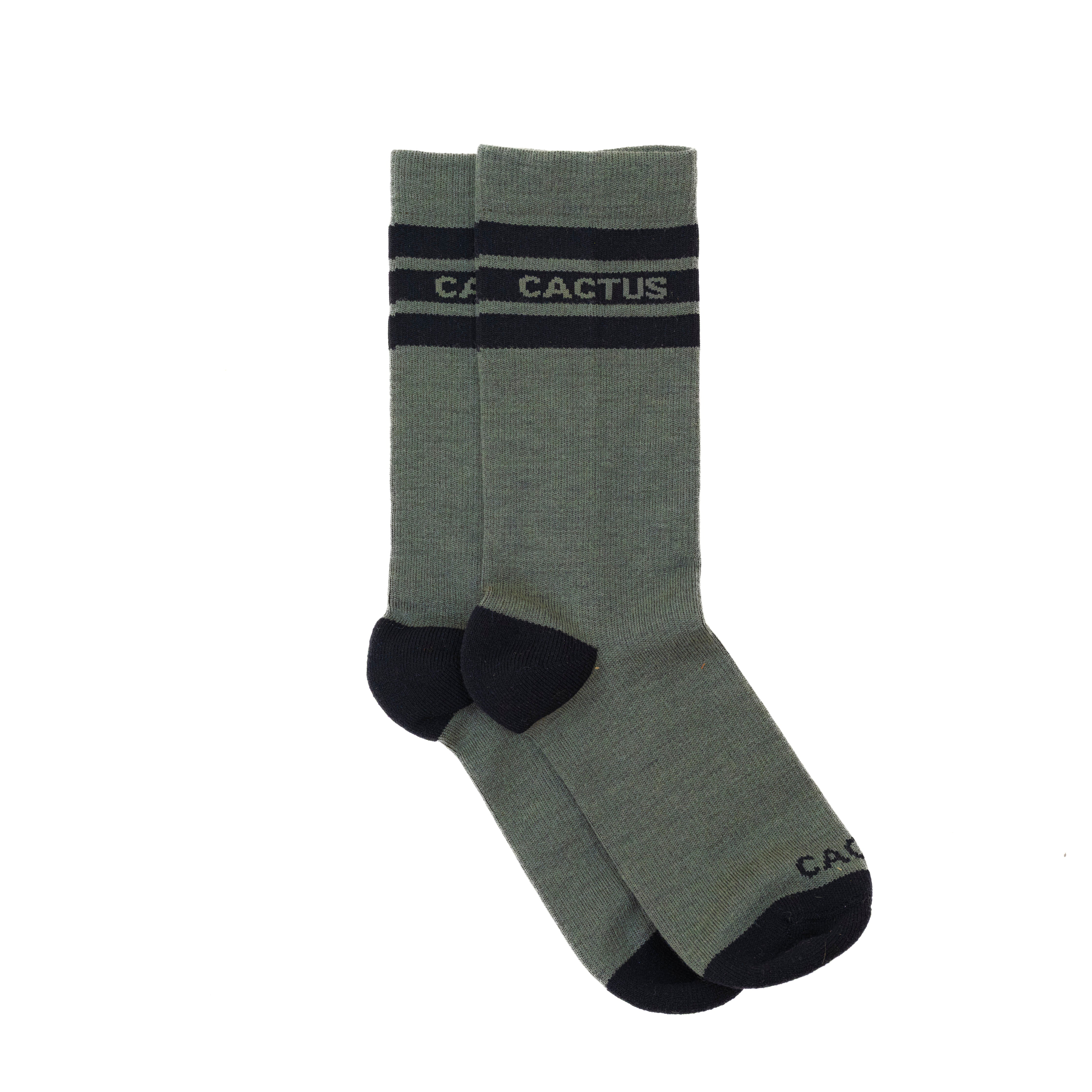 Cactus Baseline Merino Sock