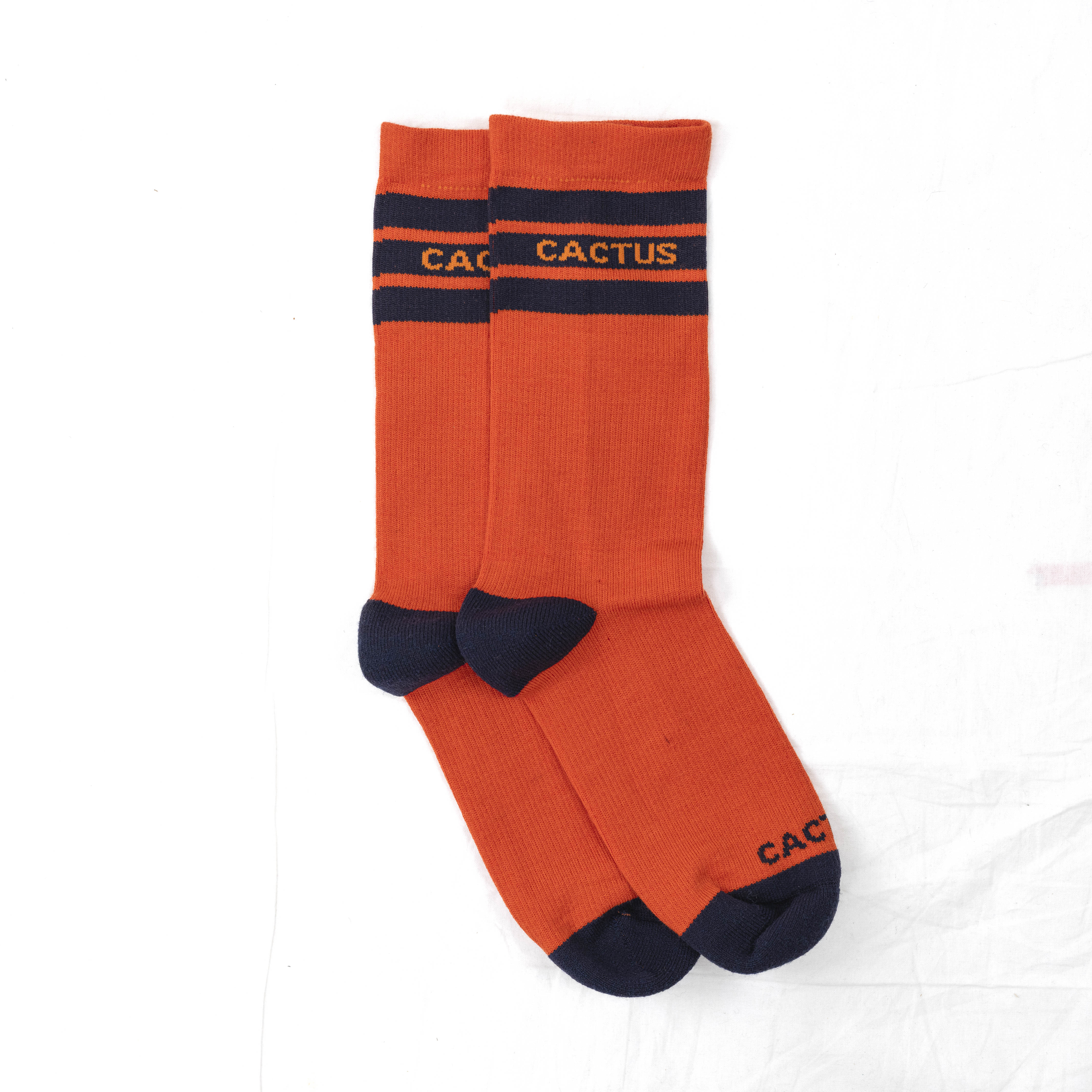 Cactus Baseline Merino Sock