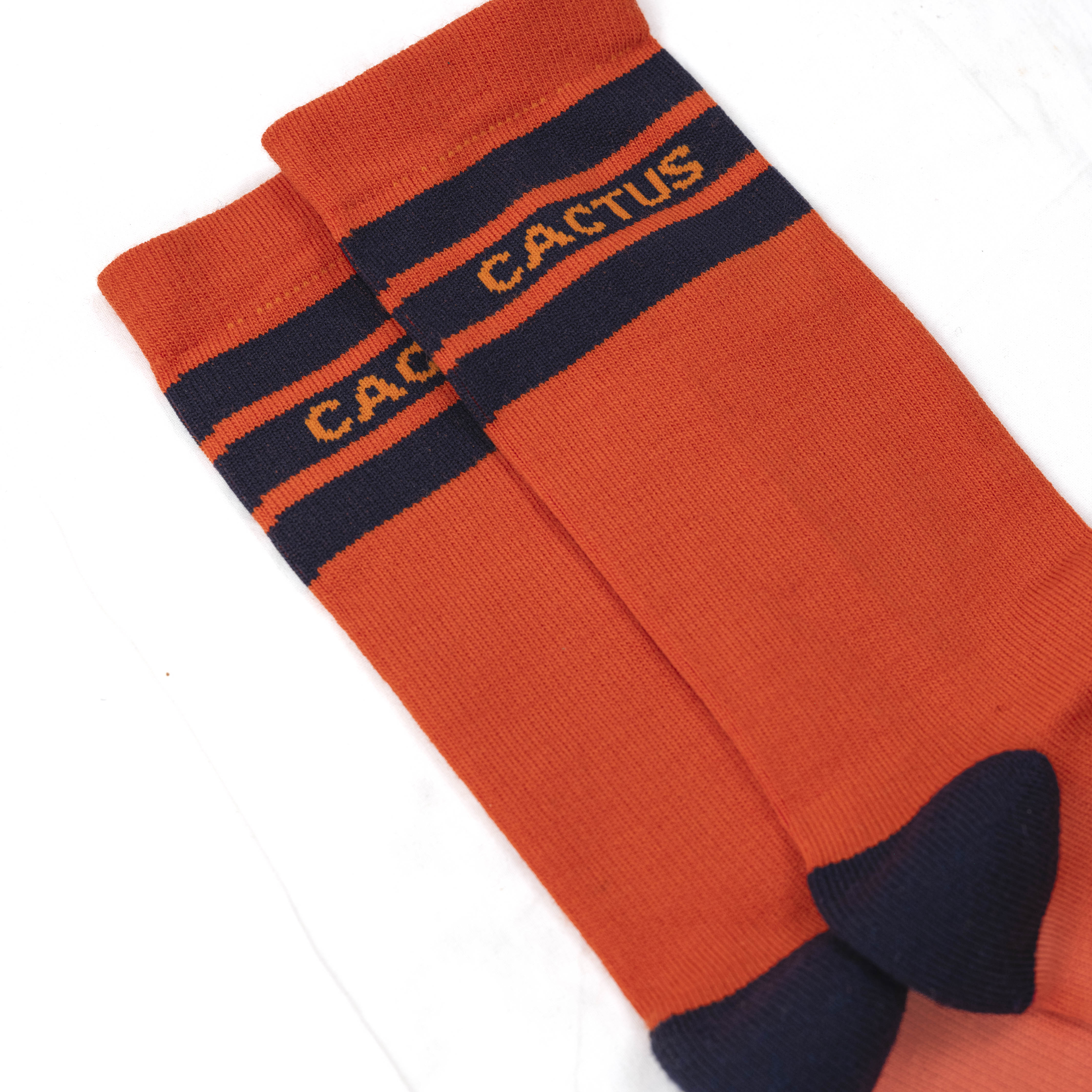 Cactus Baseline Merino Sock