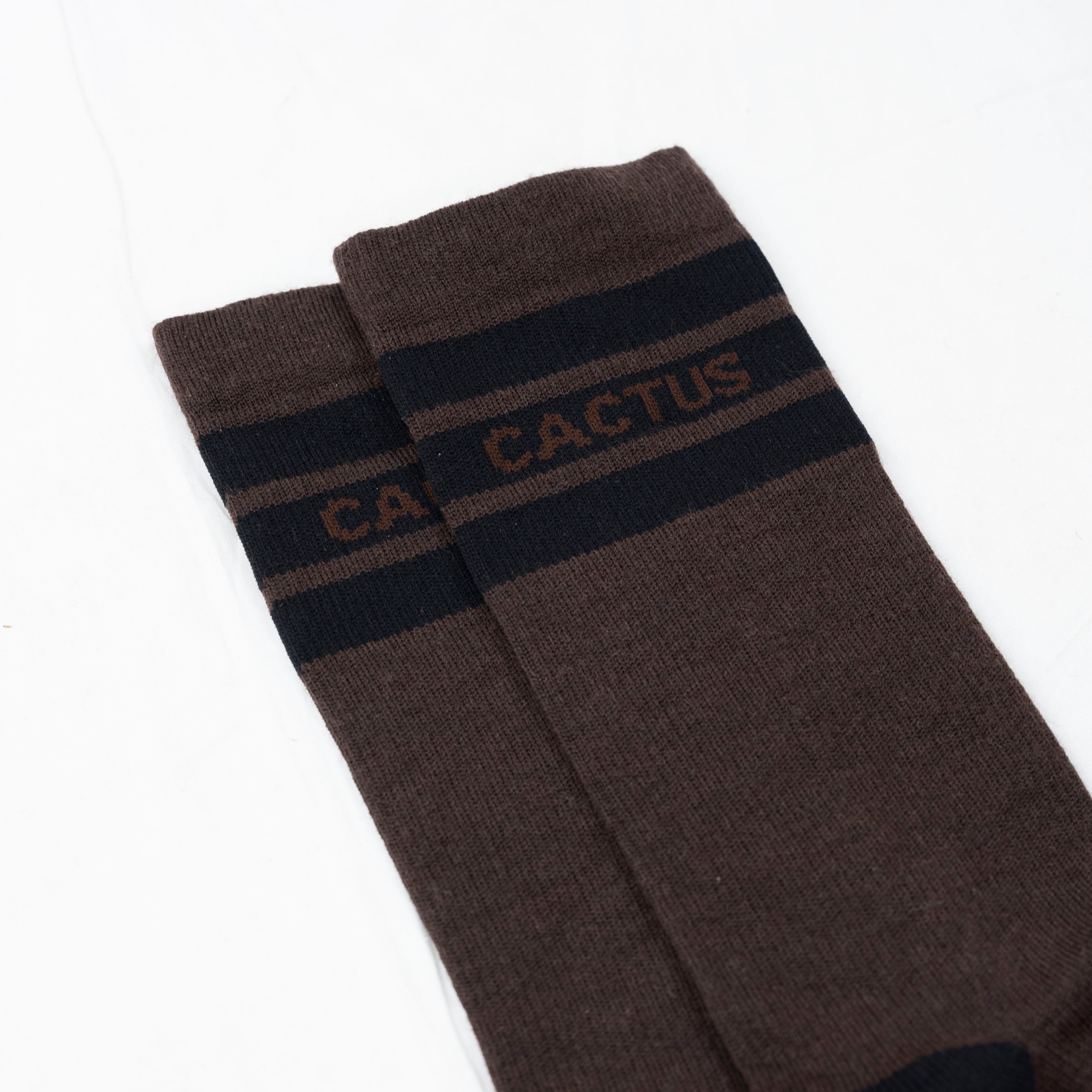 Cactus Baseline Merino Sock