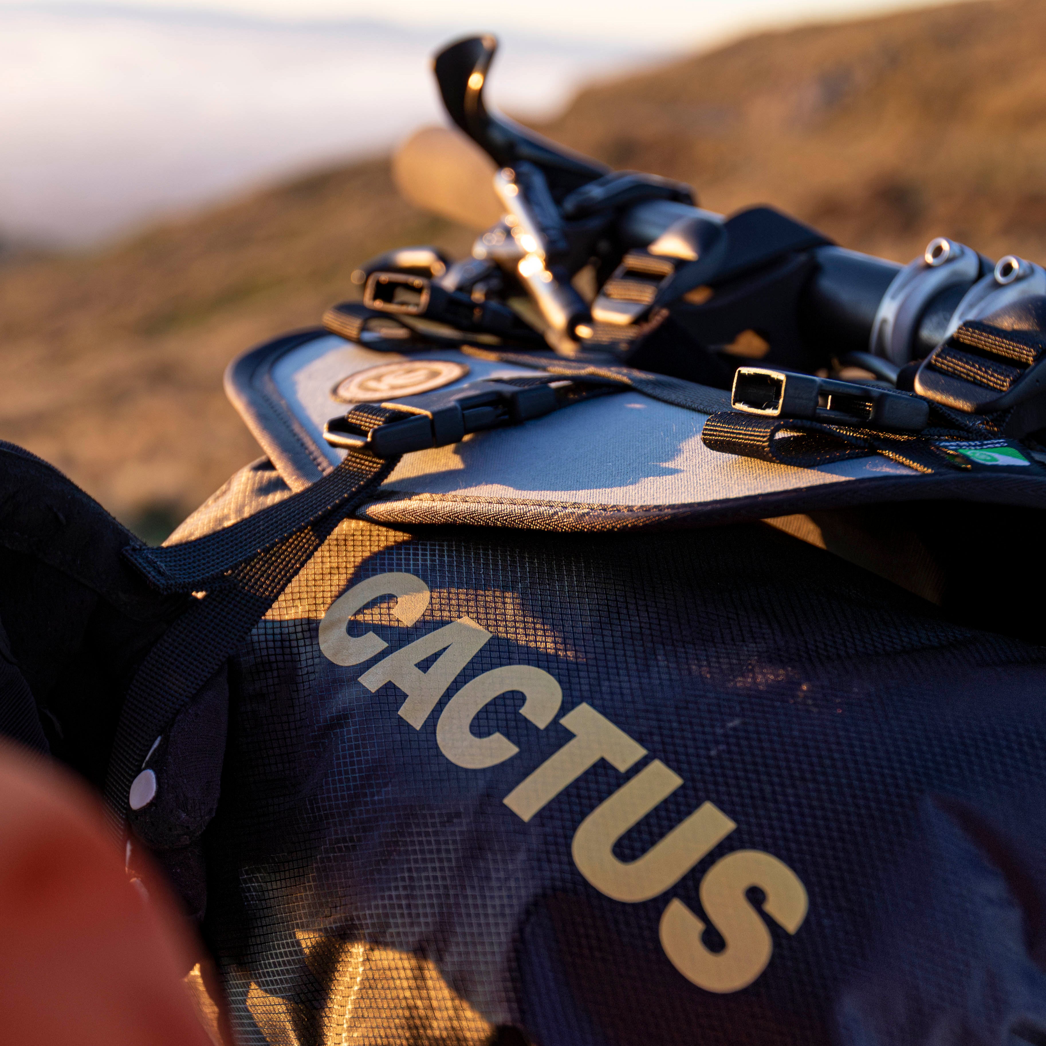 Cactus Drybag