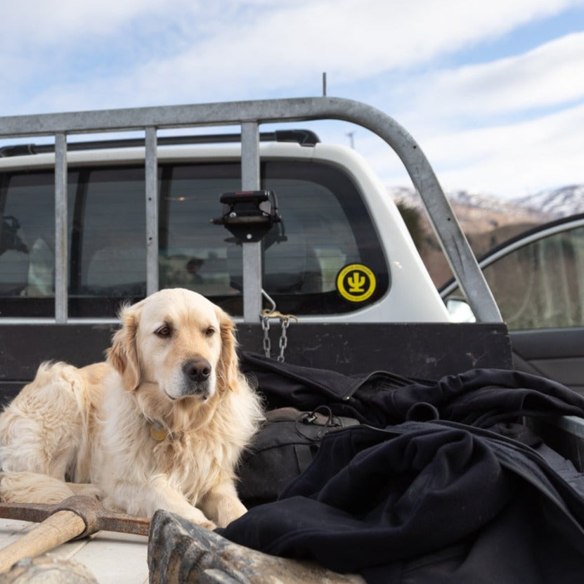 Cactus Circle Sticker