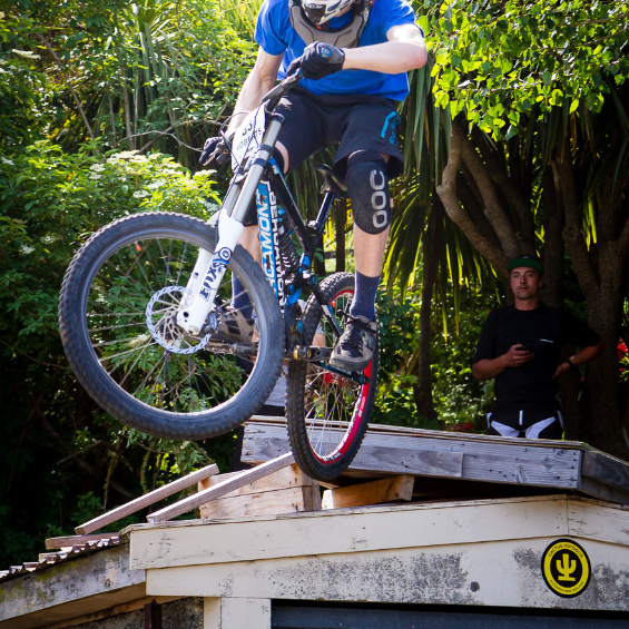 Cactus Circle Sticker