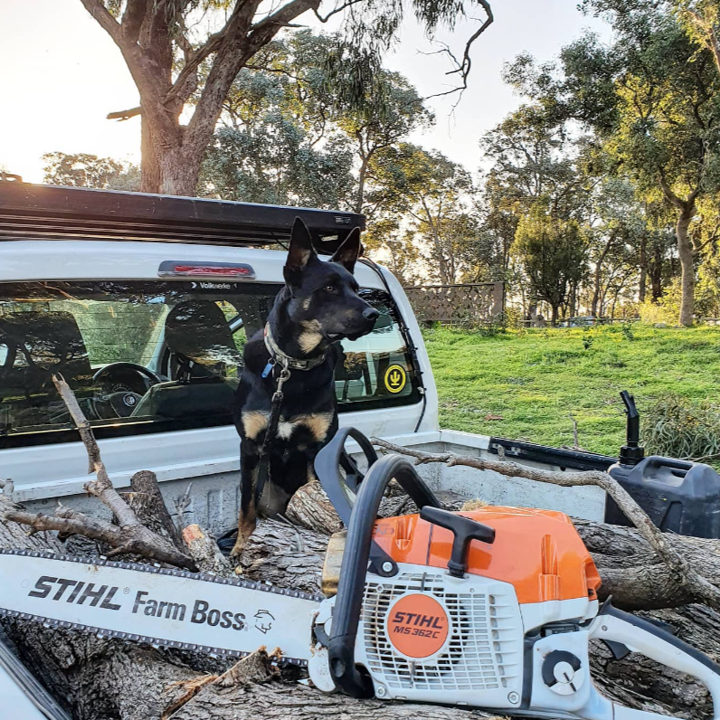 Cactus Circle Sticker