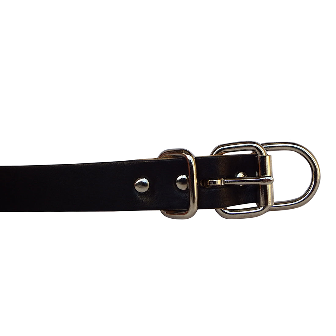 Leather Dog Collar